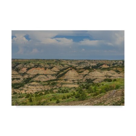 Trademark Fine Art Galloimages Online 'Painted Canyon 2' Canvas Art, 16x24 ALI35103-C1624GG
